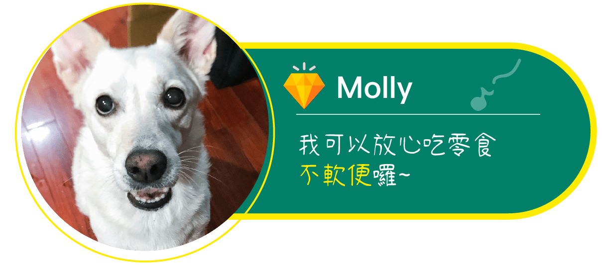 狗-Molly 我可以放心吃零食不軟便囉