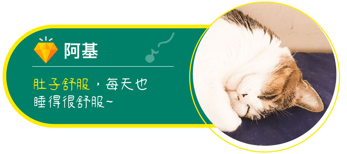 貓-阿基 肚子舒服,每天也睡得很舒服