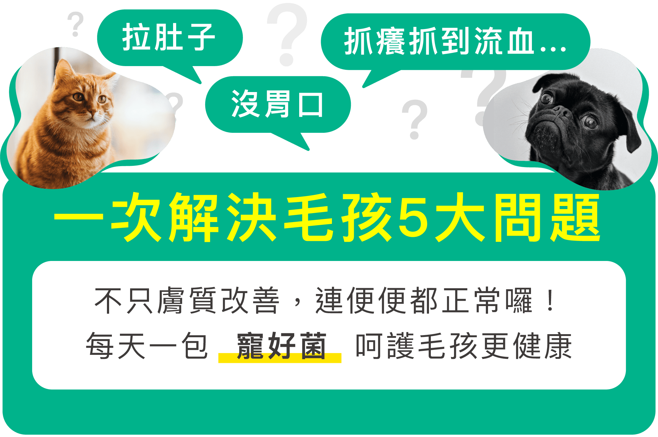 拉肚子、沒胃口、抓癢抓到流血… 「寵好菌」一次解決毛孩5大問題 不只膚質改善,連便便都正常囉! 每天一包「寵好菌」呵護毛孩更健康