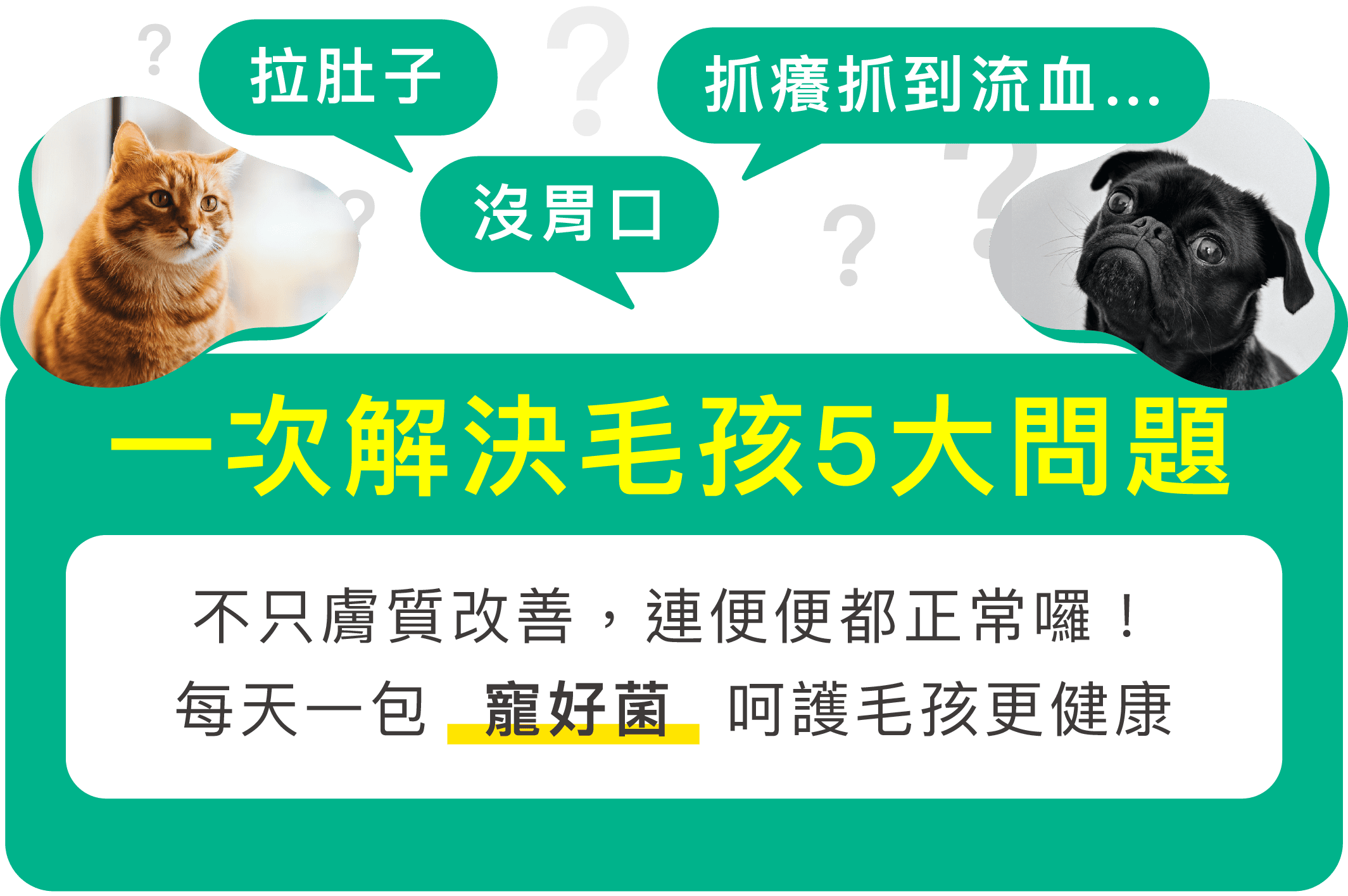 拉肚子、沒胃口、抓癢抓到流血… 「寵好菌」一次解決毛孩5大問題 不只膚質改善，連便便都正常囉！ 每天一包「寵好菌」呵護毛孩更健康